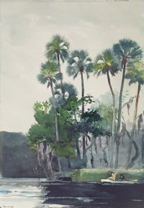 Homosassa River, 1904 door Winslow Homer